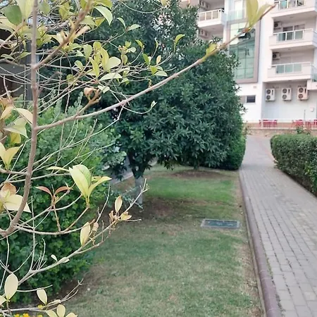 Olive Alanya! Алания